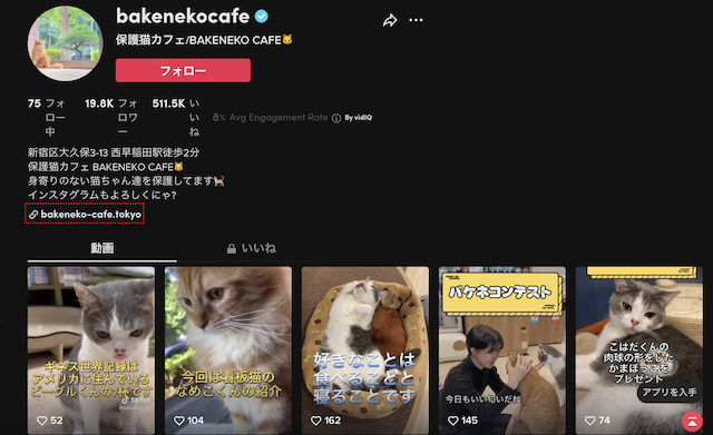 Z李TIKTOK